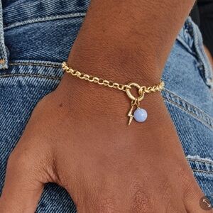 Mejuri 14k gold ROLO CHAIN CHARM BRACELET